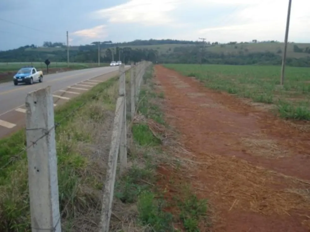 Fazenda, 114 hectares - Foto 2