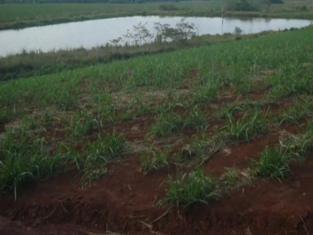 Fazenda, 114 hectares - Foto 3