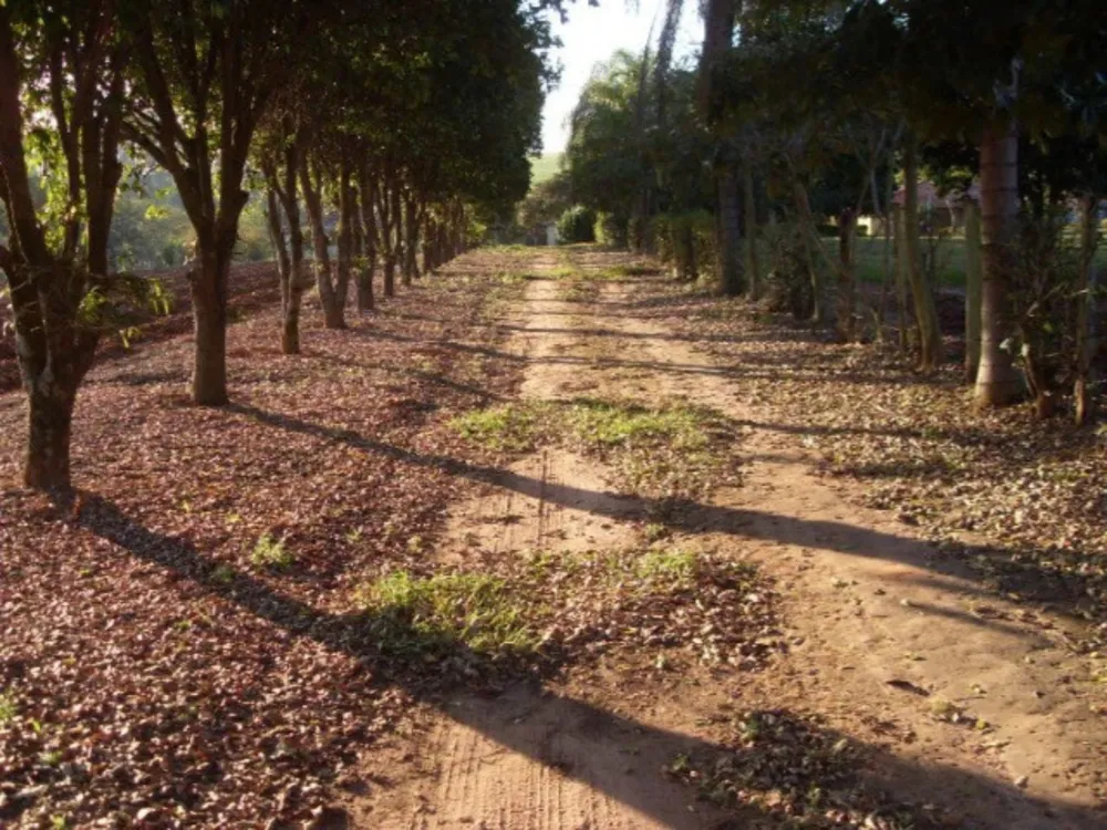 Fazenda, 15 hectares - Foto 3