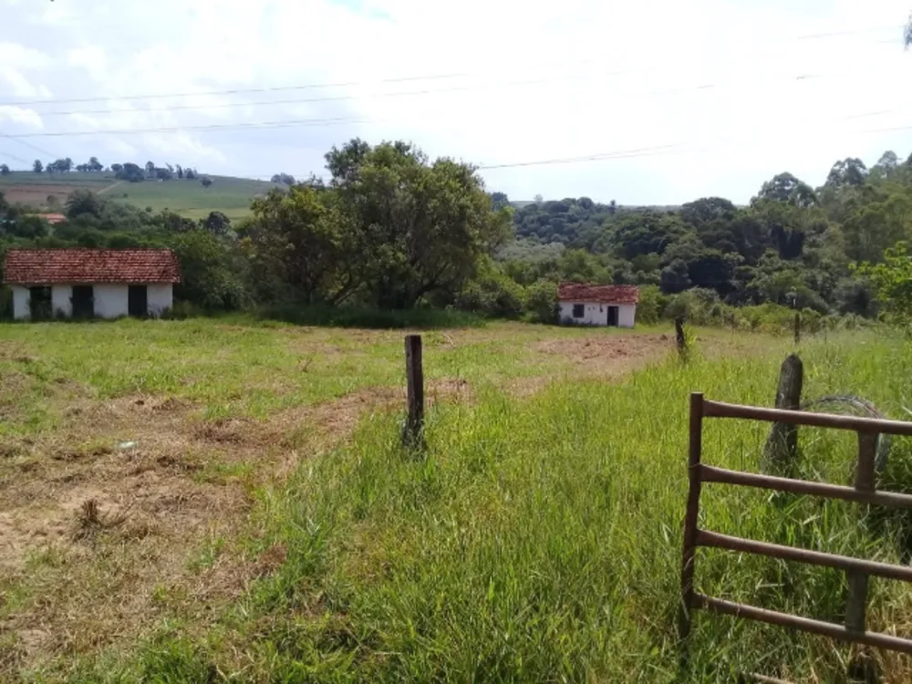 Fazenda, 97 hectares - Foto 2