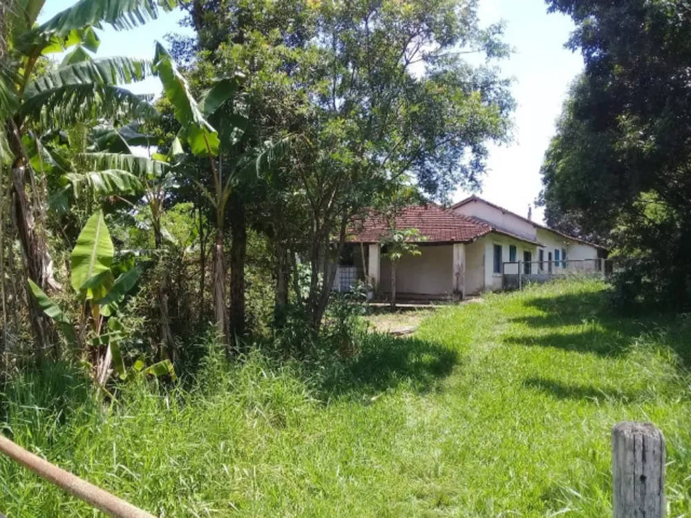 Fazenda, 97 hectares - Foto 4