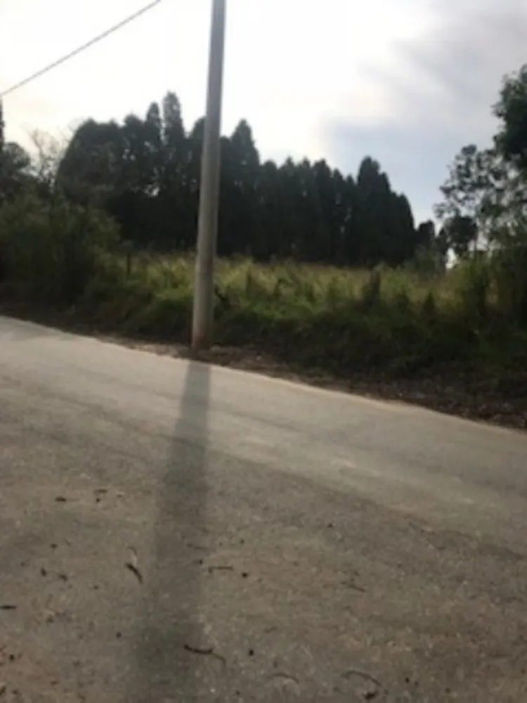 Terreno, 5000 m² - Foto 3