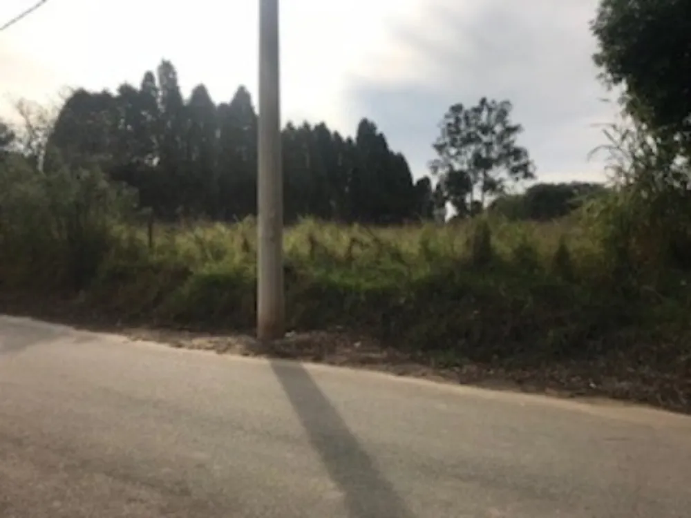 Terreno, 5000 m² - Foto 2