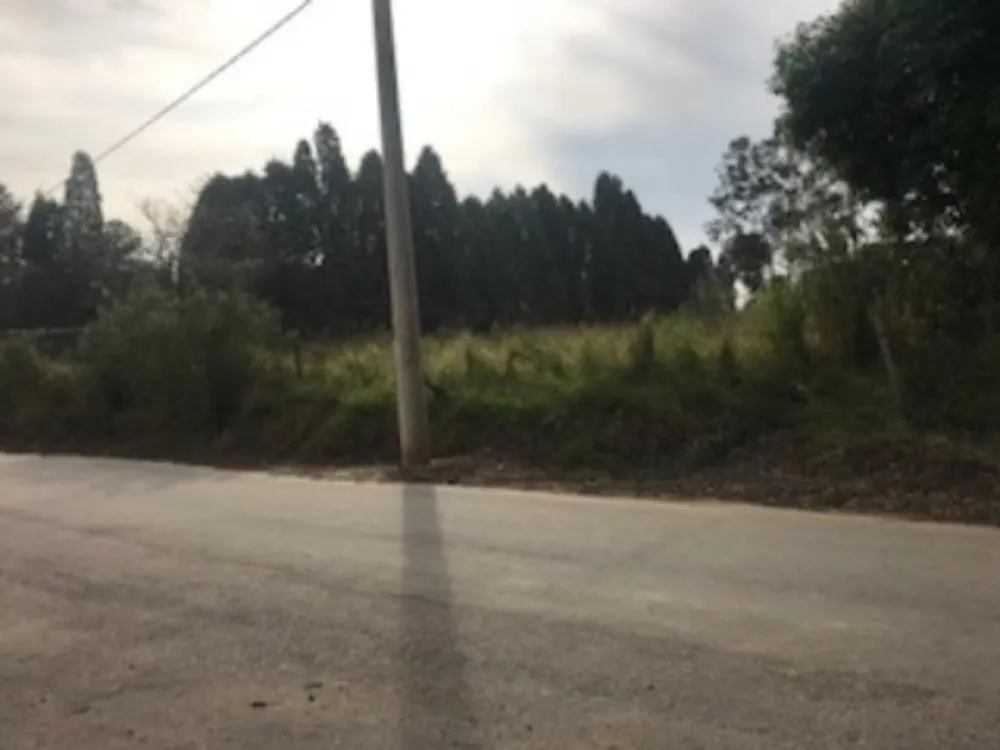 Terreno, 5000 m² - Foto 4