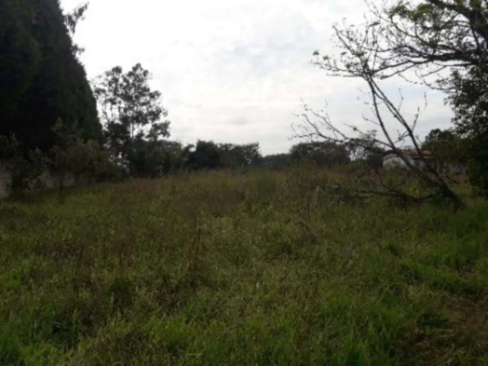 Terreno, 5000 m² - Foto 1