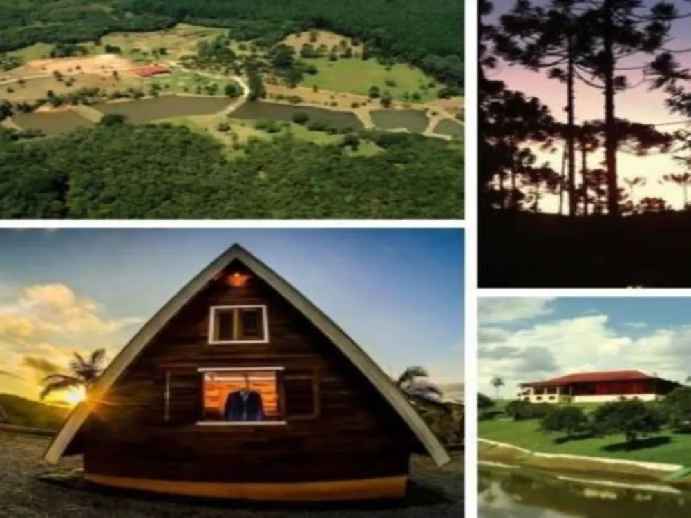 Fazenda, 60 hectares - Foto 1