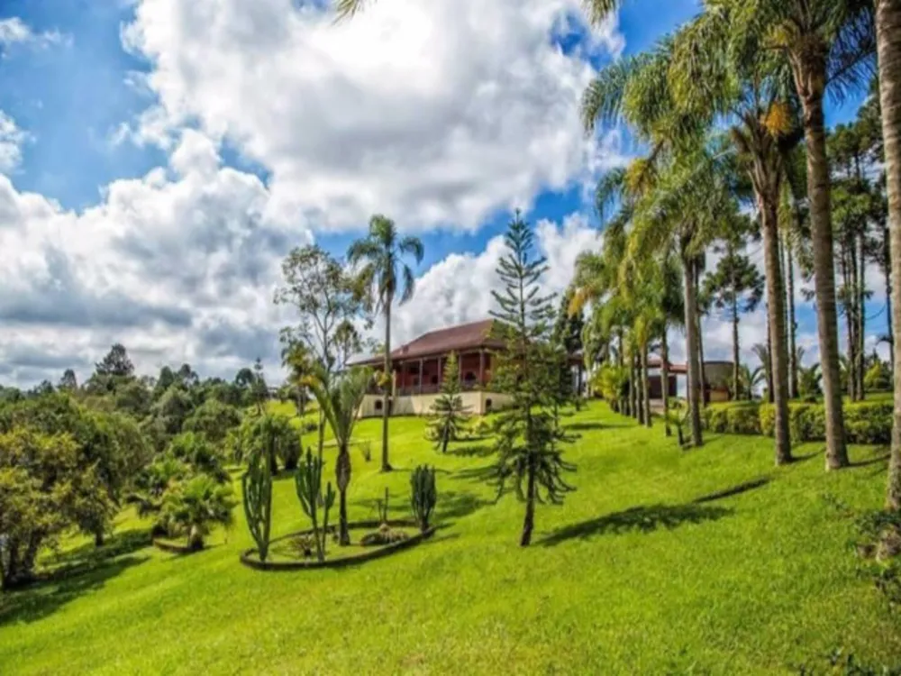 Fazenda, 60 hectares - Foto 2
