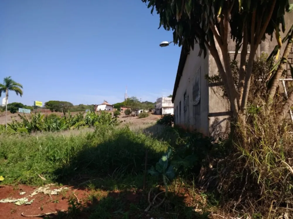 Terreno, 10000 m² - Foto 4