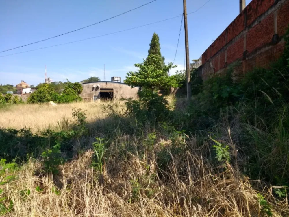 Terreno, 10000 m² - Foto 1