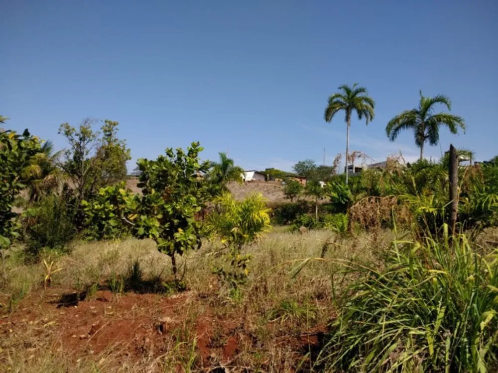 Terreno, 10000 m² - Foto 3