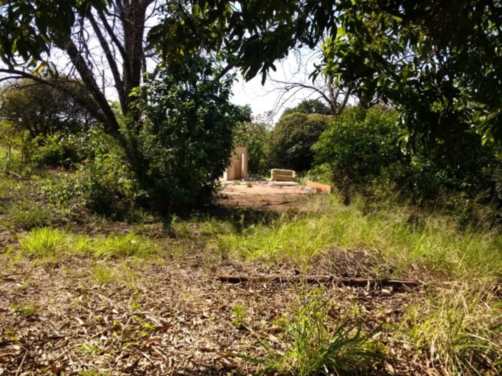 Terreno, 10000 m² - Foto 2