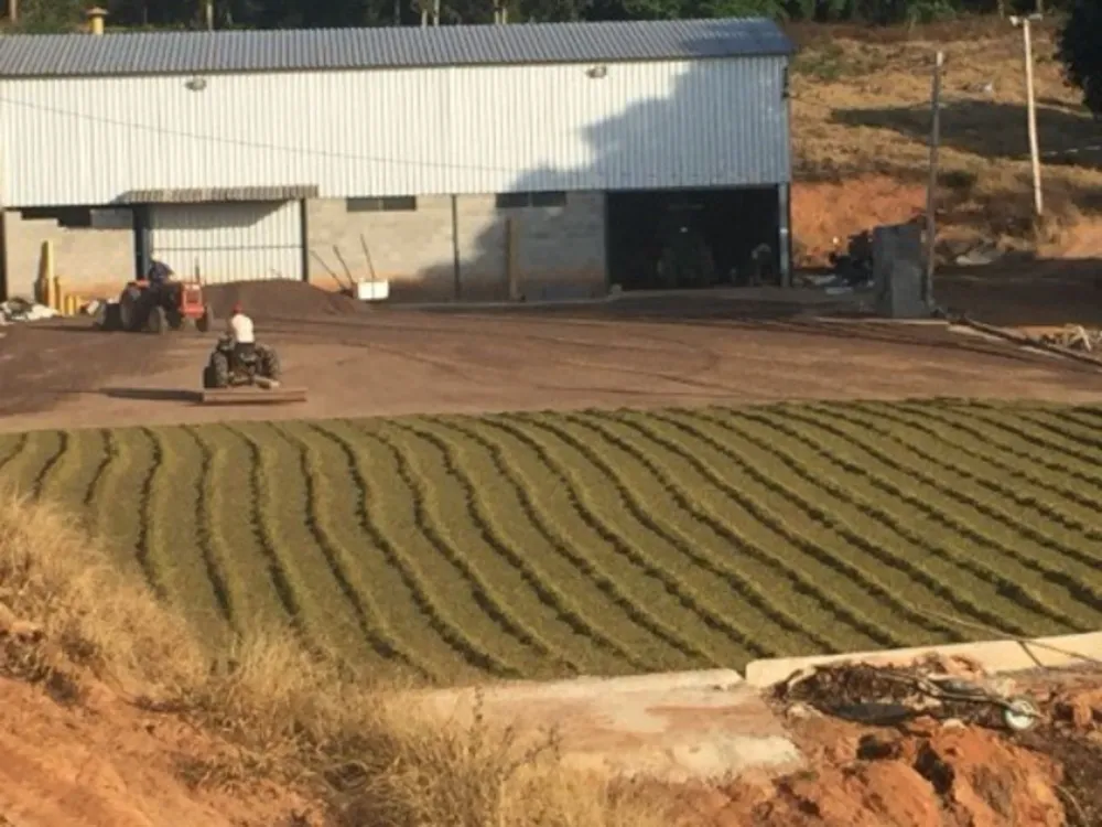 Fazenda, 169 hectares - Foto 4