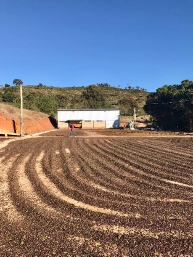 Fazenda, 169 hectares - Foto 1