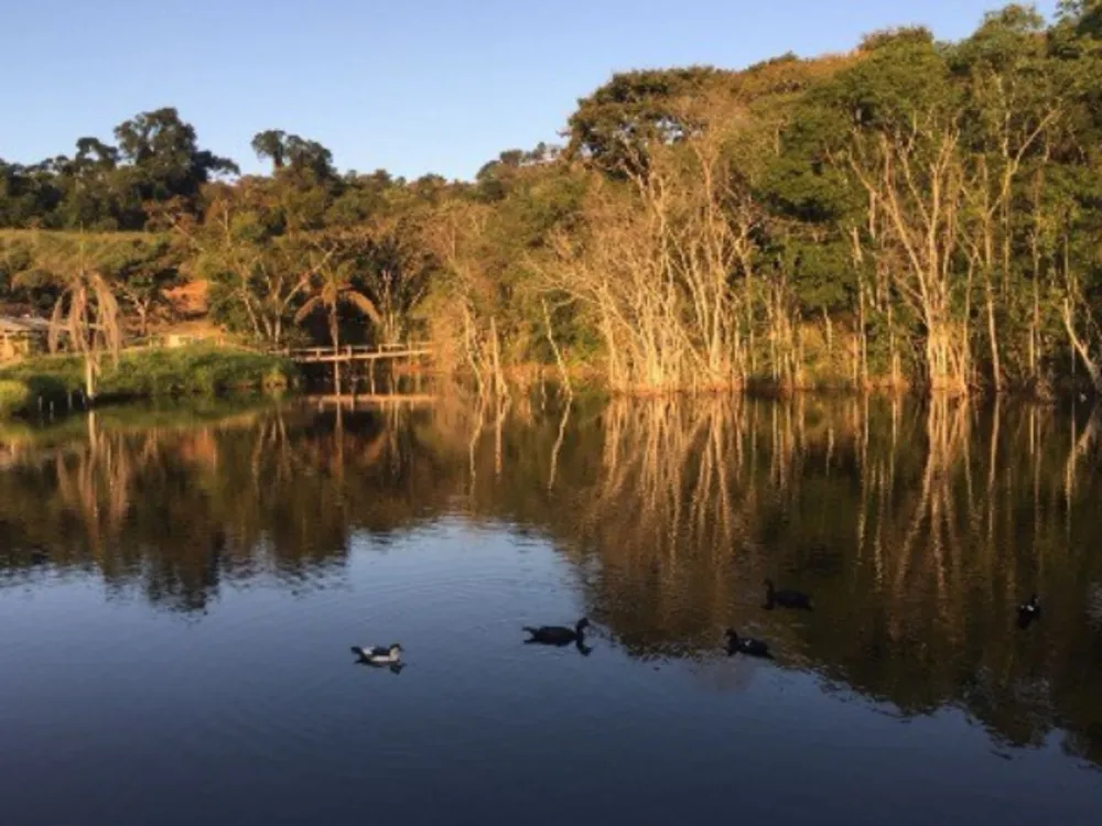 Fazenda, 169 hectares - Foto 2