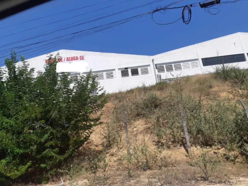 Depósito-Galpão, 3000 m² - Foto 3