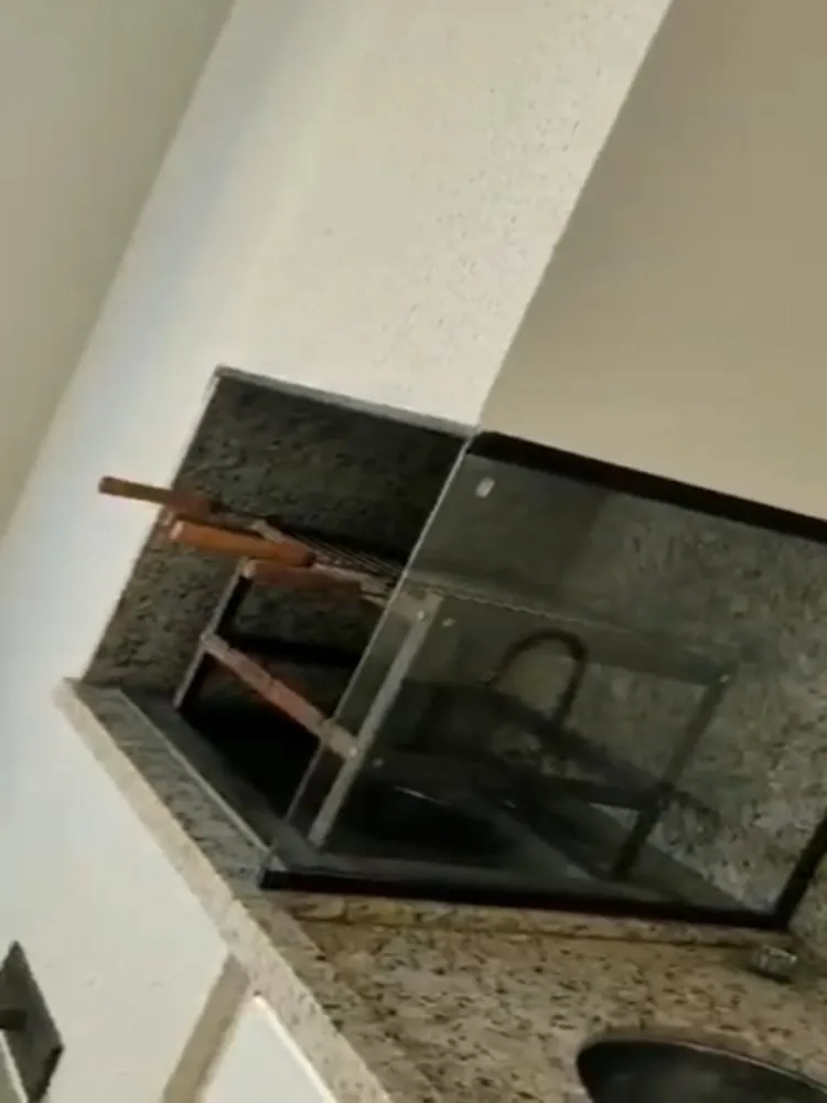Apartamento, 3 quartos, 135 m² - Foto 3