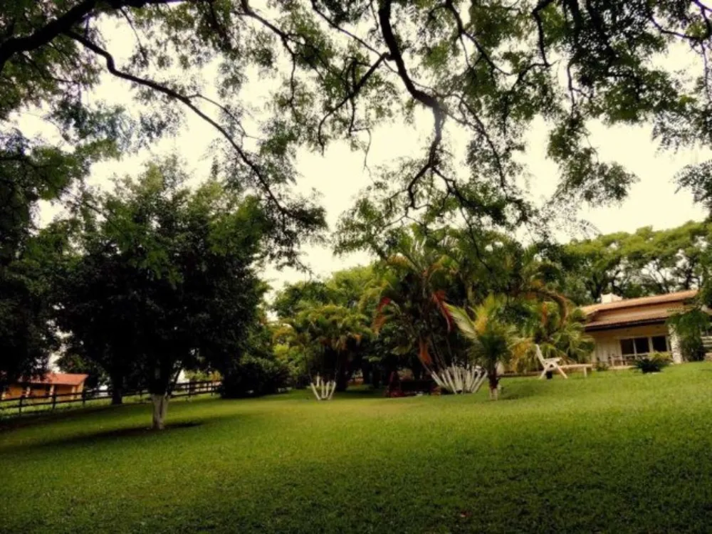 Sítio, 7 hectares - Foto 4
