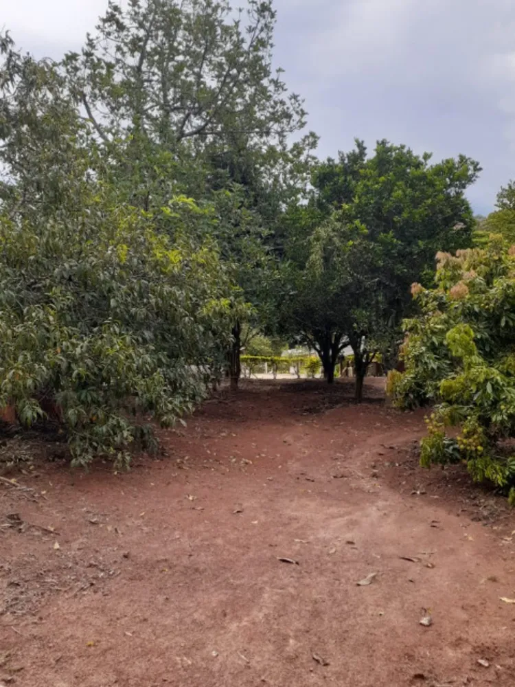 Chácara, 2 quartos, 5000 m² - Foto 2
