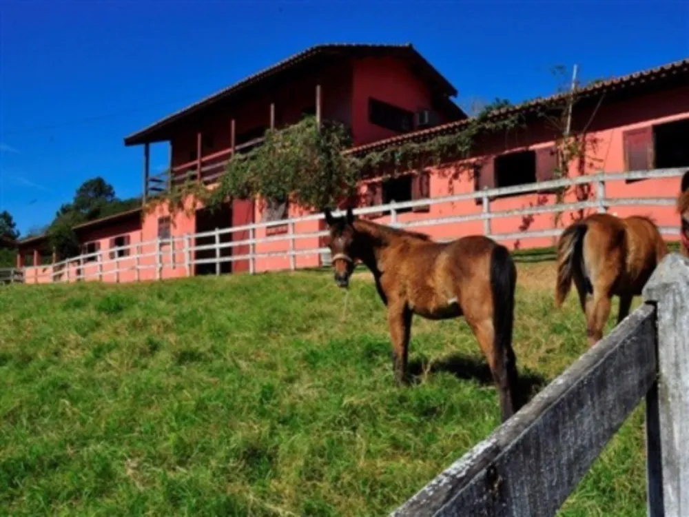 Fazenda, 10 quartos - Foto 2