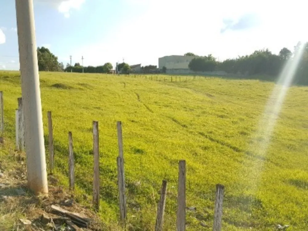 Terreno, 124443 m² - Foto 3