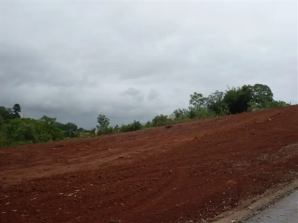 Terreno, 21558 m² - Foto 4
