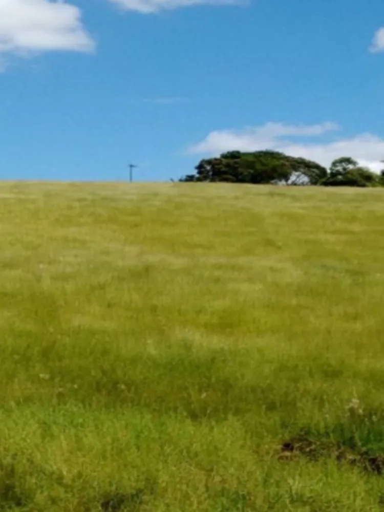 Terreno, 49000 m² - Foto 1