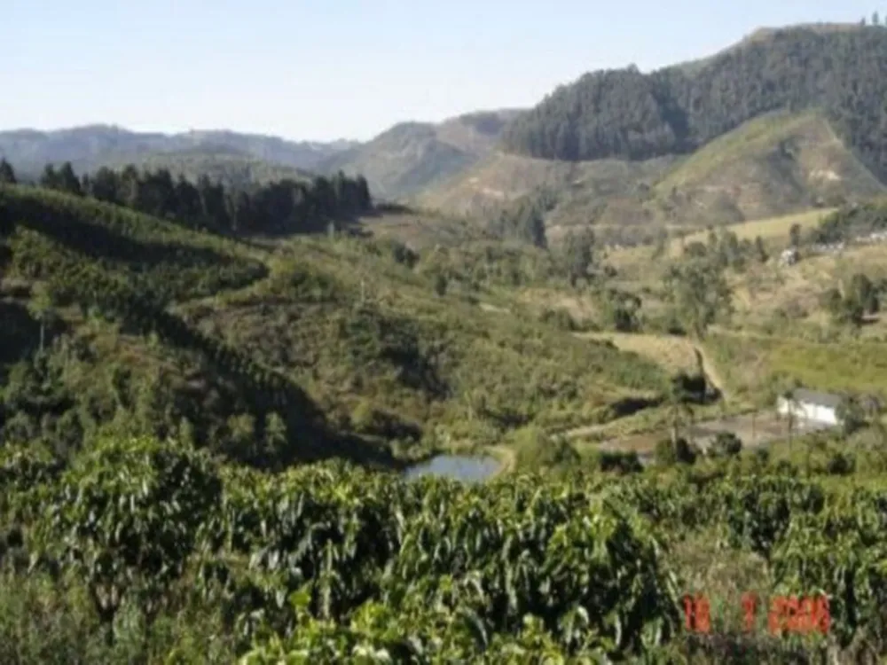 Sítio, 65 hectares - Foto 3