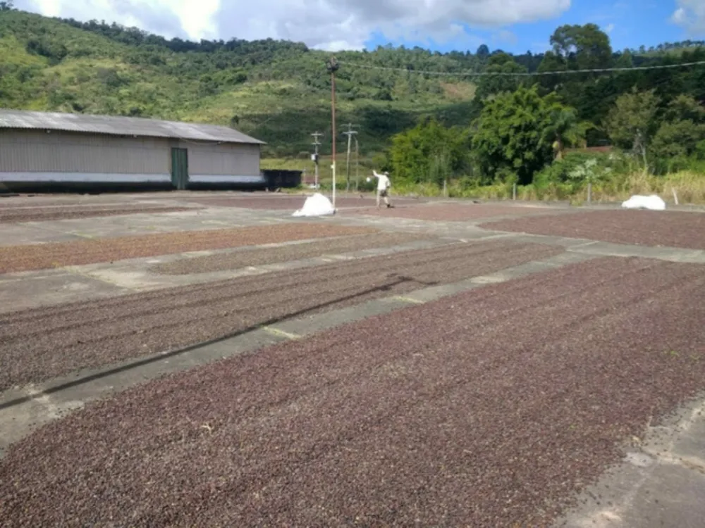 Sítio, 65 hectares - Foto 4