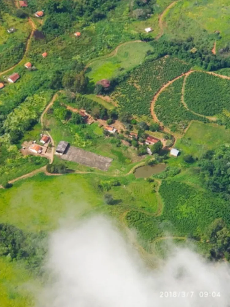 Sítio, 65 hectares - Foto 1