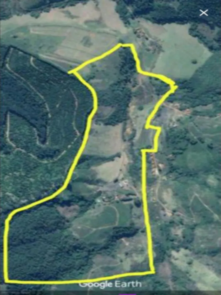 Sítio, 65 hectares - Foto 2