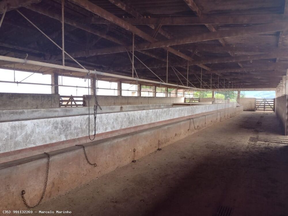 Fazenda, 450 hectares - Foto 8