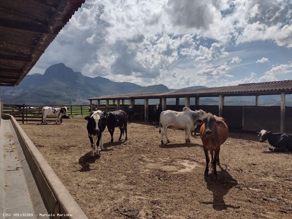 Fazenda, 450 hectares - Foto 1