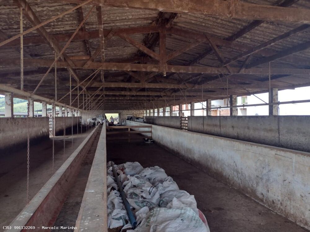 Fazenda, 450 hectares - Foto 11