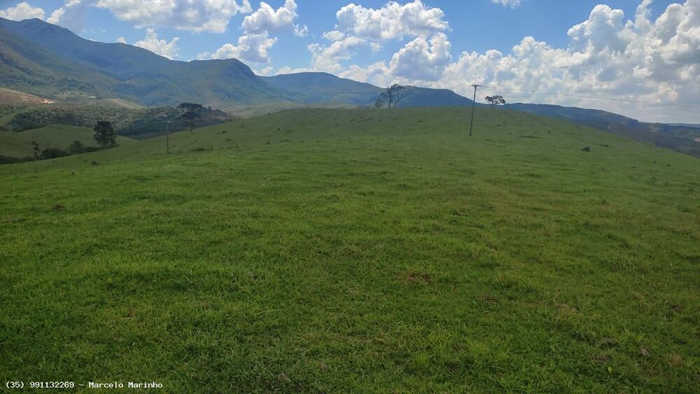 Fazenda, 450 hectares - Foto 9