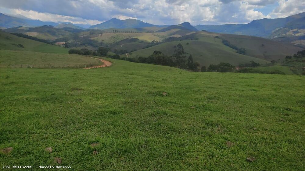 Fazenda, 450 hectares - Foto 10