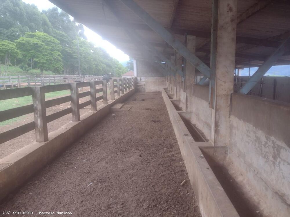 Fazenda, 450 hectares - Foto 2