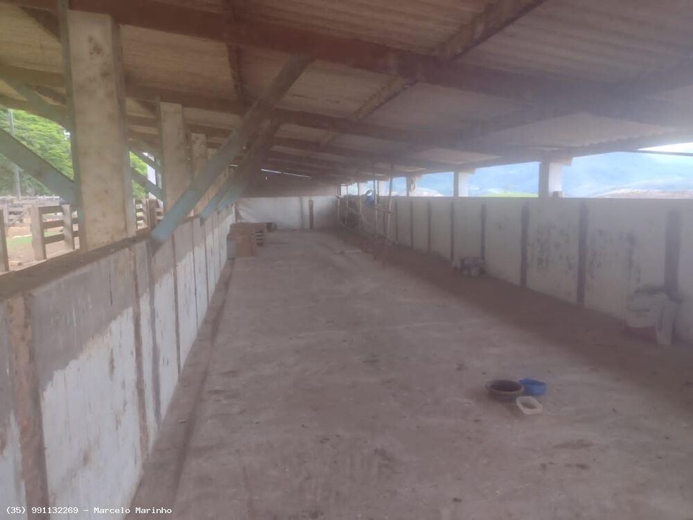 Fazenda, 450 hectares - Foto 5