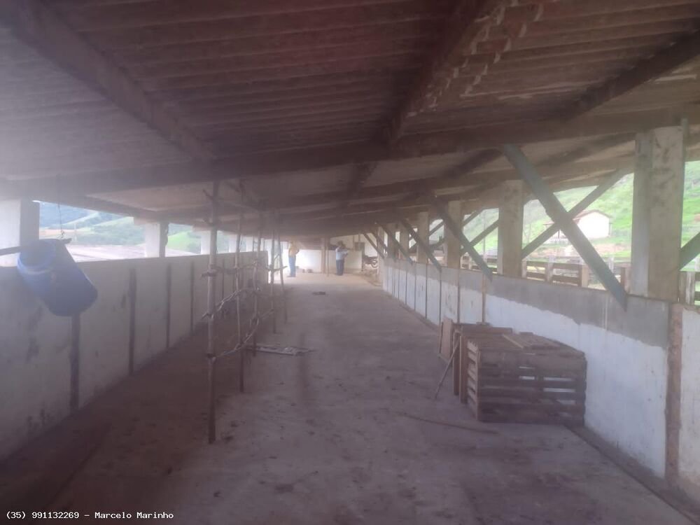 Fazenda, 450 hectares - Foto 3