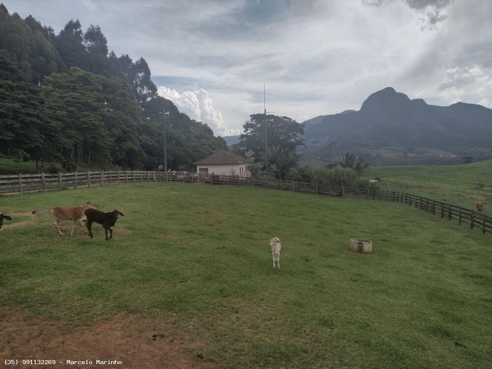 Fazenda, 450 hectares - Foto 7