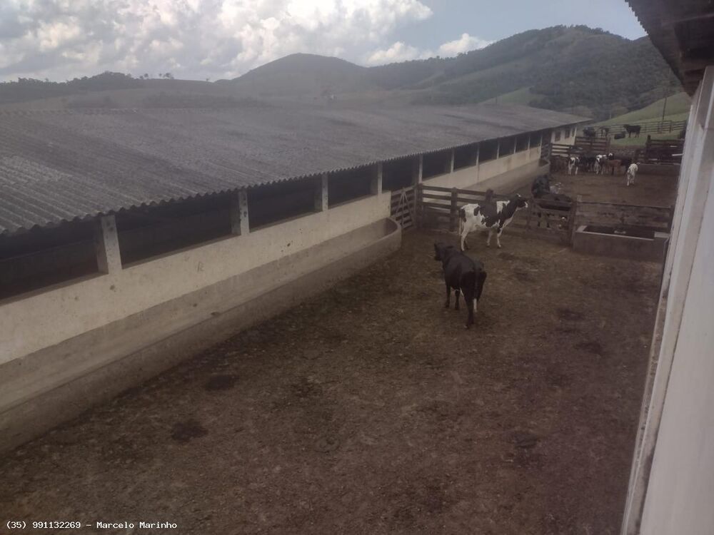 Fazenda, 450 hectares - Foto 6