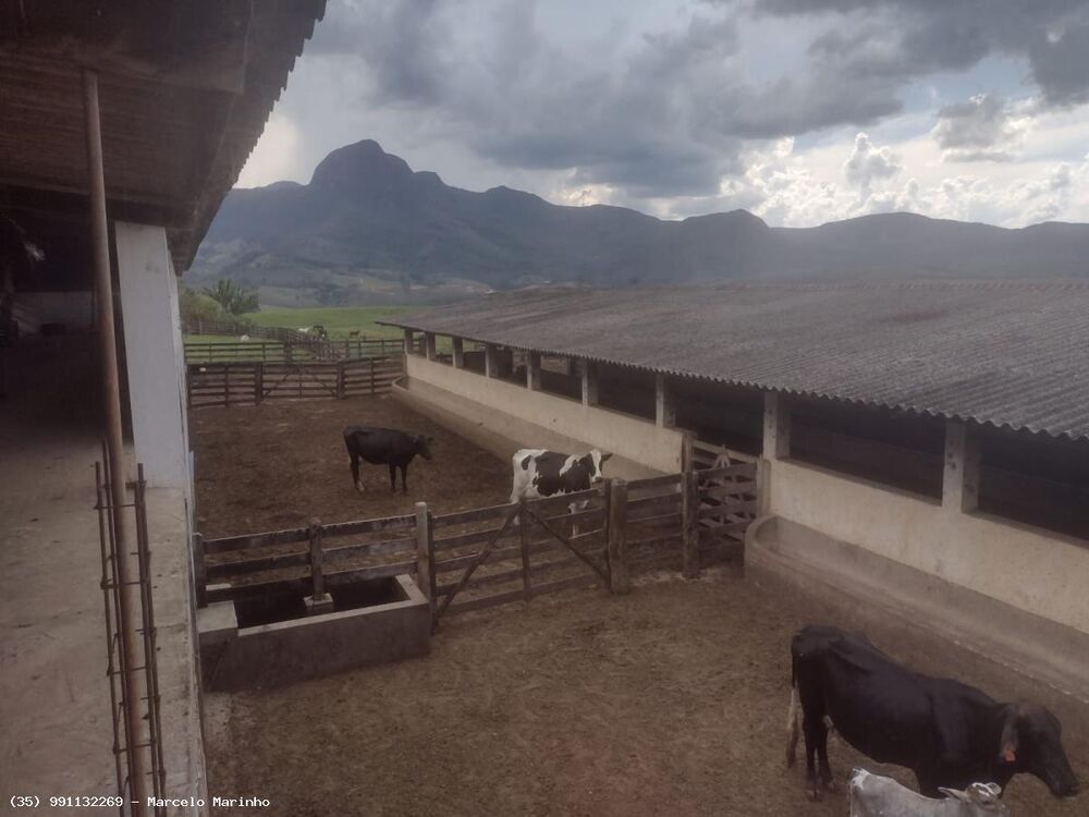 Fazenda, 450 hectares - Foto 4