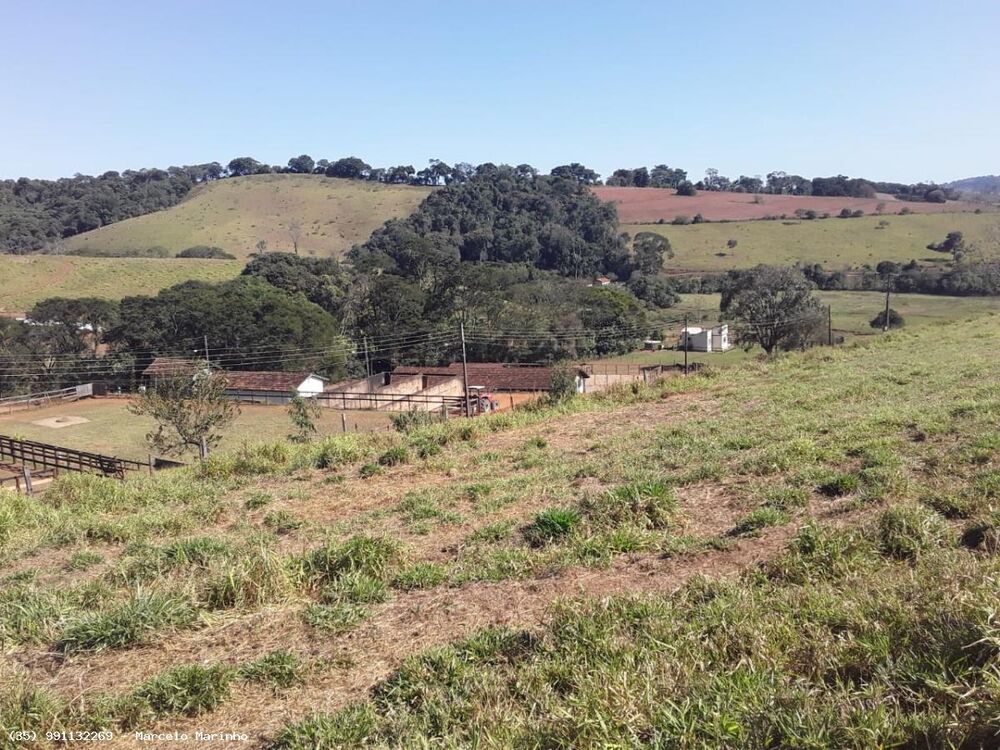 Fazenda à venda, 1460000m² - Foto 4