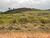 Terreno, 300 m² - Foto 3