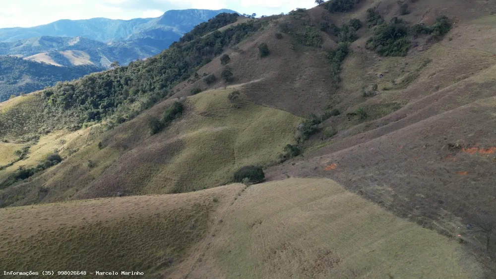 Terreno, 13 hectares - Foto 8