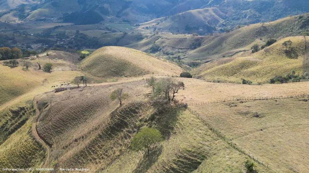 Terreno, 13 hectares - Foto 7