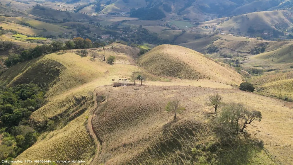 Terreno, 13 hectares - Foto 6