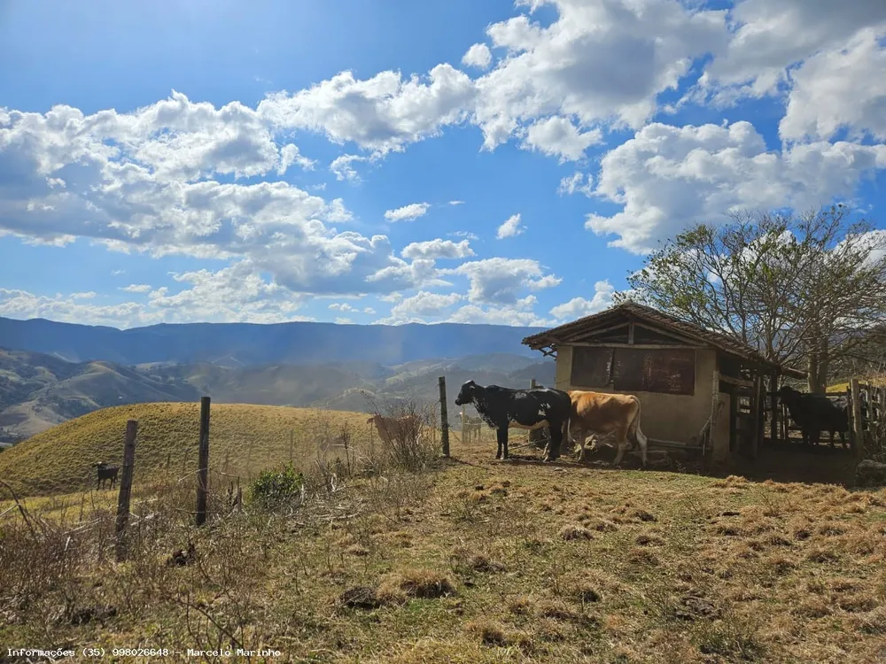 Terreno, 13 hectares - Foto 1