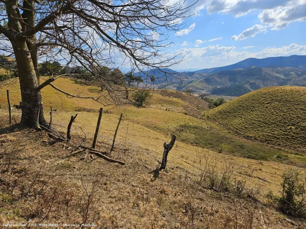 Terreno, 13 hectares - Foto 4