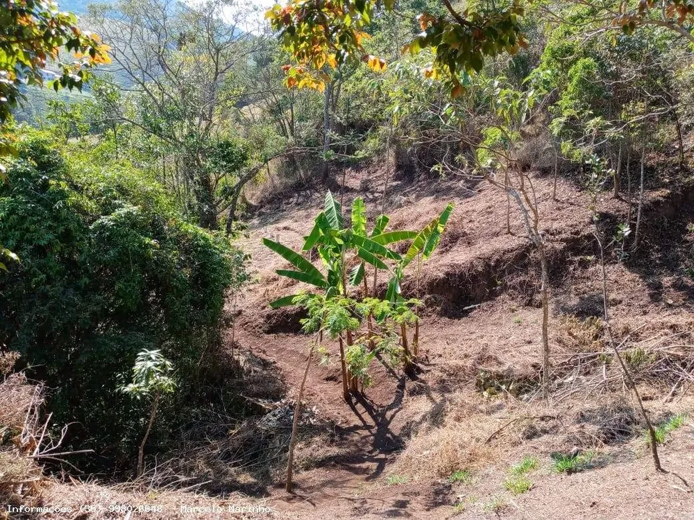 Terreno, 2 hectares - Foto 8