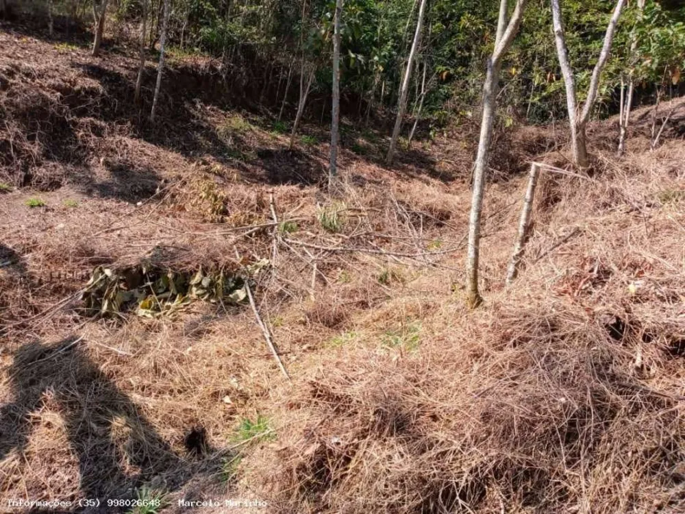 Terreno, 2 hectares - Foto 10